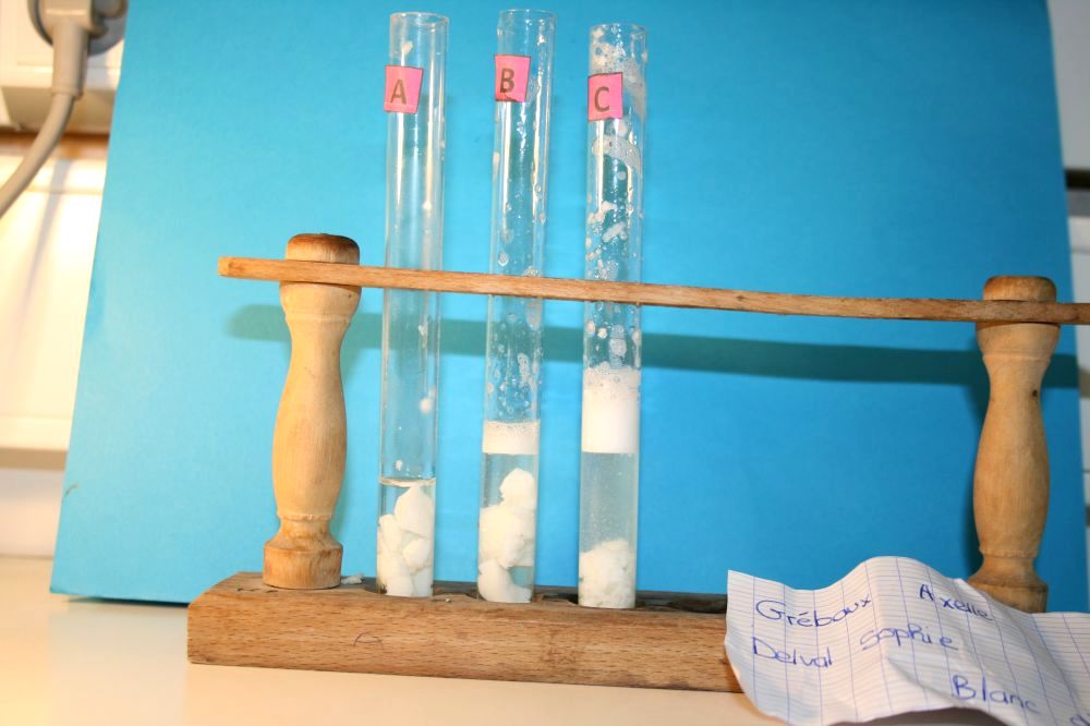 gal/LES_CINQUIEMES/ACTIVITE DIGESTION IN VITRO/Groupe_02/Groupe02_T_00h20min/Groupe02_temps00H20min_11.jpg